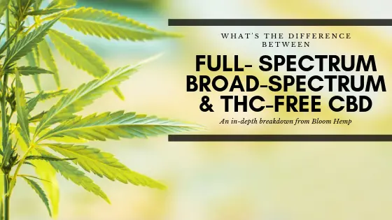 What's the Difference Between Full-Spectrum and Broad-Spectrum CBD?