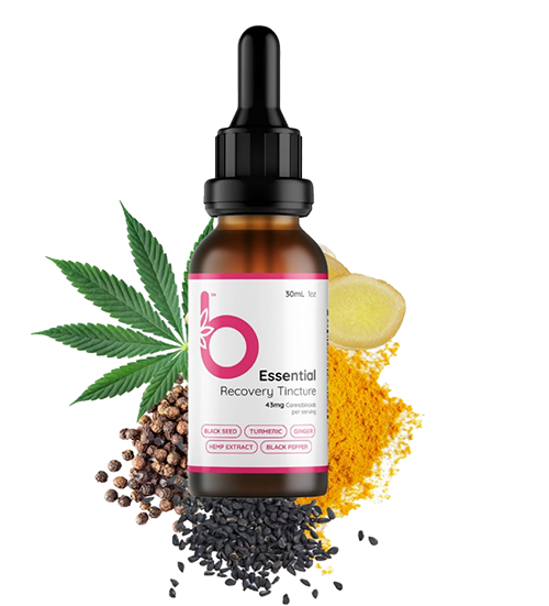 Bloom Hemp Essential Recovery Tincture